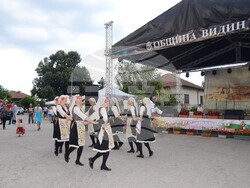 Снимка: Община Видин