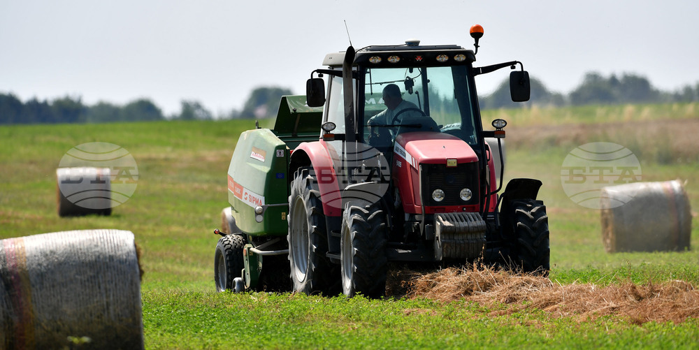 Село Старо селище - работа на полето - балиране