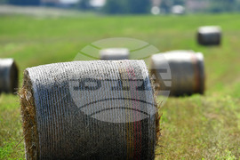 Село Старо селище - работа на полето - балиране