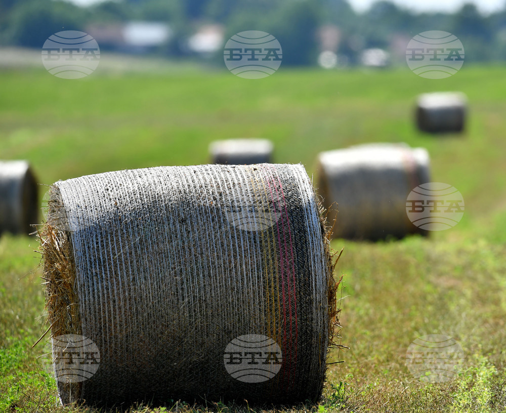Село Старо селище - работа на полето - балиране