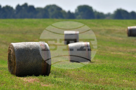 Село Старо селище - работа на полето - балиране