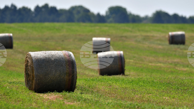 ЕК предложи пакет от мерки за опростяване на законодателството за безопасност на храните и фуражите; земеделците смятат, че той не предлага реални решения