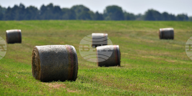 ЕК предложи пакет от мерки за опростяване на законодателството за безопасност на храните и фуражите; земеделците смятат, че той не предлага реални решения