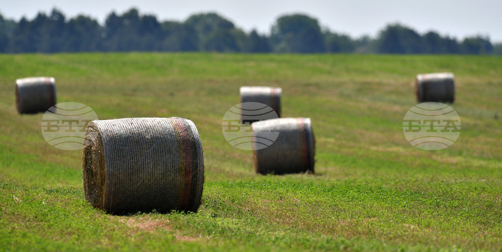 Село Старо селище - работа на полето - балиране