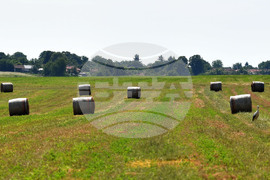 Село Старо селище - работа на полето - балиране