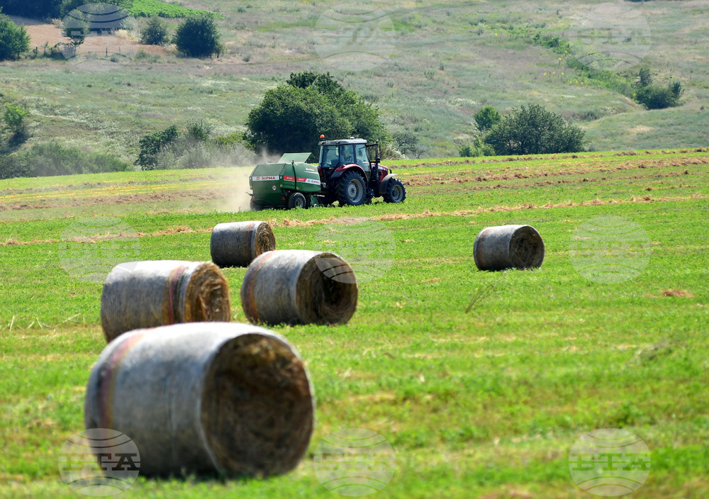 Село Старо селище - работа на полето - балиране