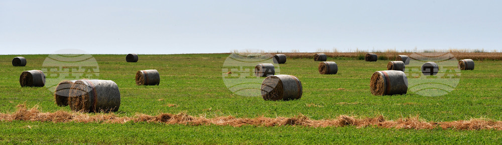 Село Старо селище - работа на полето - балиране