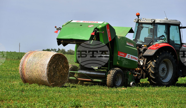 Село Старо селище - работа на полето - балиране