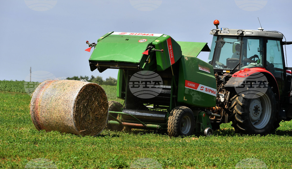 Село Старо селище - работа на полето - балиране