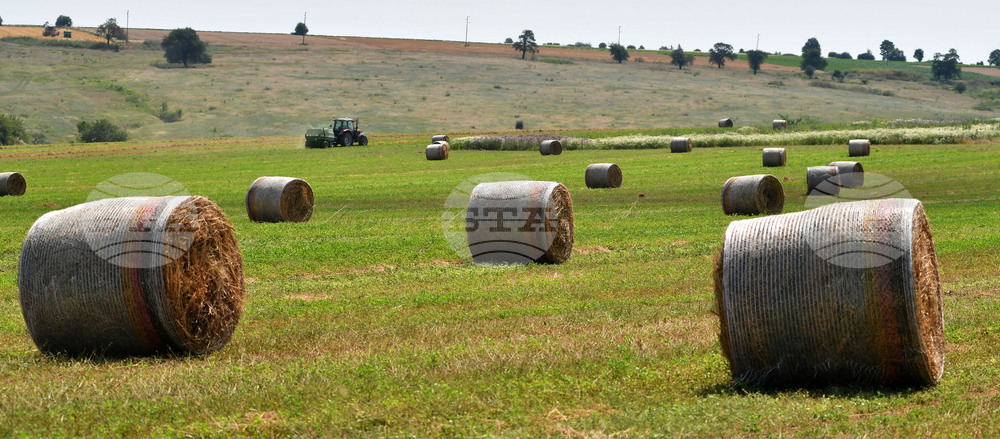 Село Старо селище - работа на полето - балиране