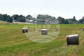 Село Старо селище - работа на полето - балиране