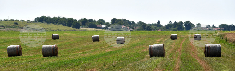Село Старо селище - работа на полето - балиране