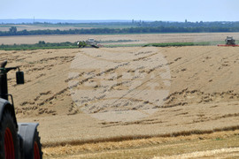 Село Подайва - жътва