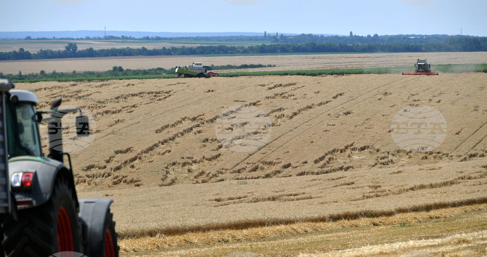 Село Подайва - жътва