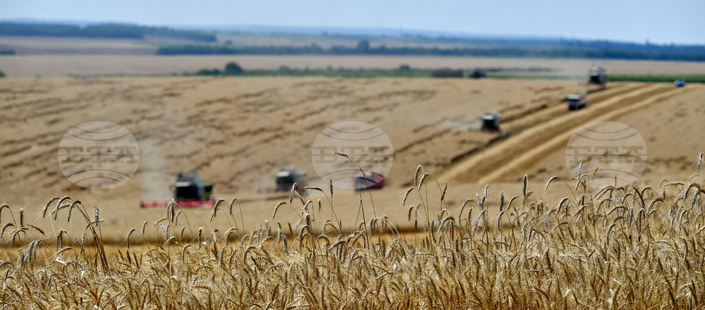 Село Подайва - жътва