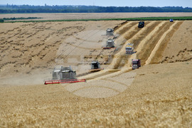 Село Подайва - жътва