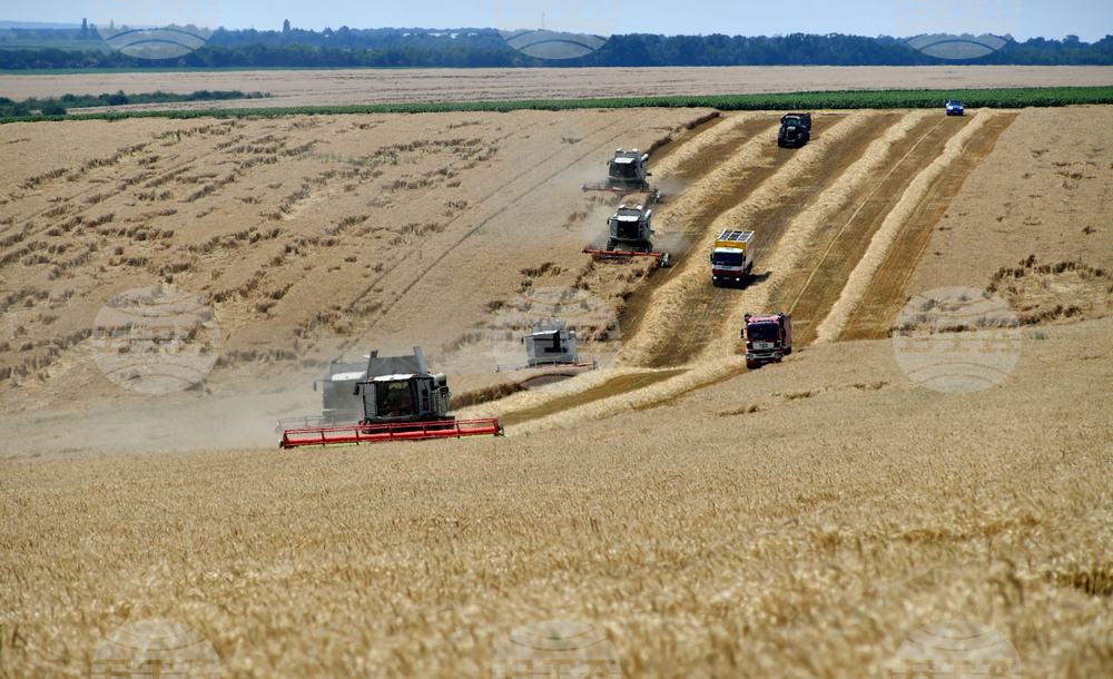 Село Подайва - жътва