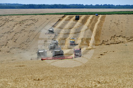 Село Подайва - жътва