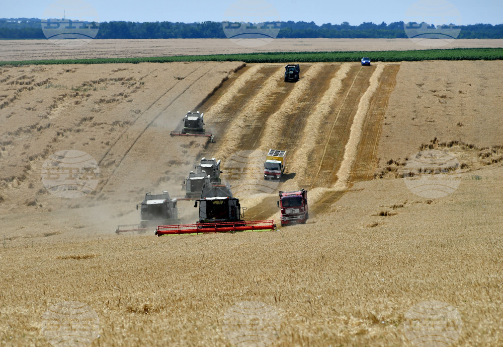 Село Подайва - жътва