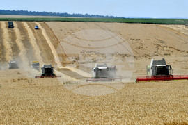 Село Подайва - жътва