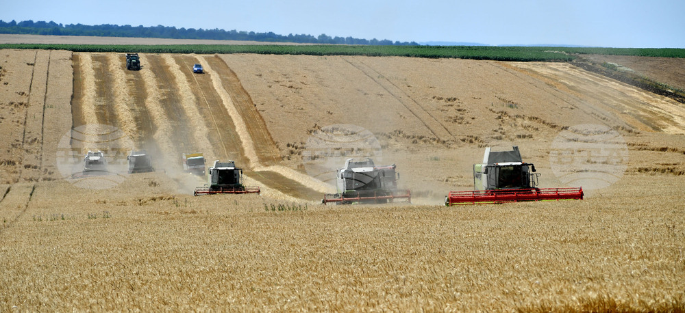 Село Подайва - жътва