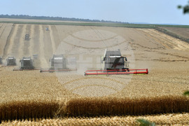 Село Подайва - жътва