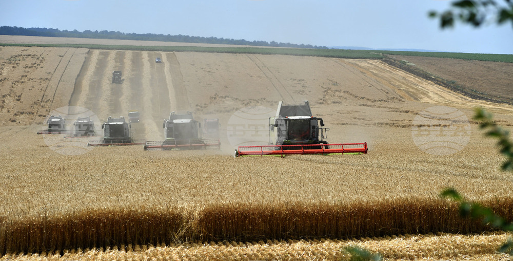 Село Подайва - жътва