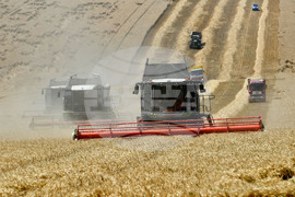 Село Подайва - жътва