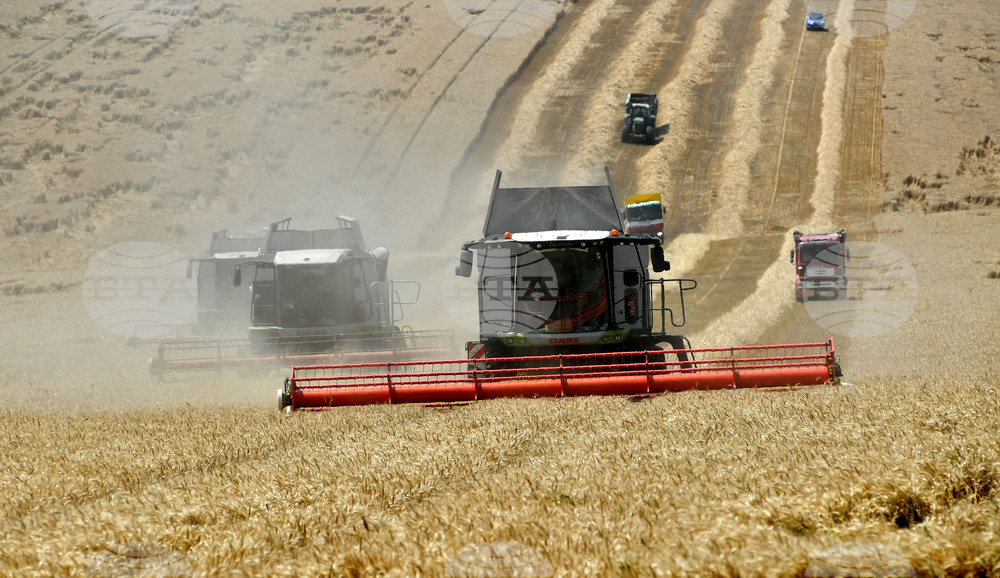 Село Подайва - жътва