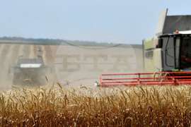 Село Подайва - жътва