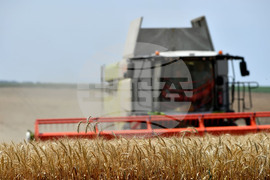 Село Подайва - жътва