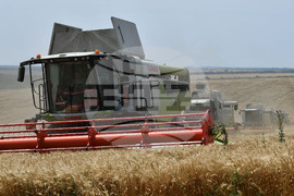Село Подайва - жътва