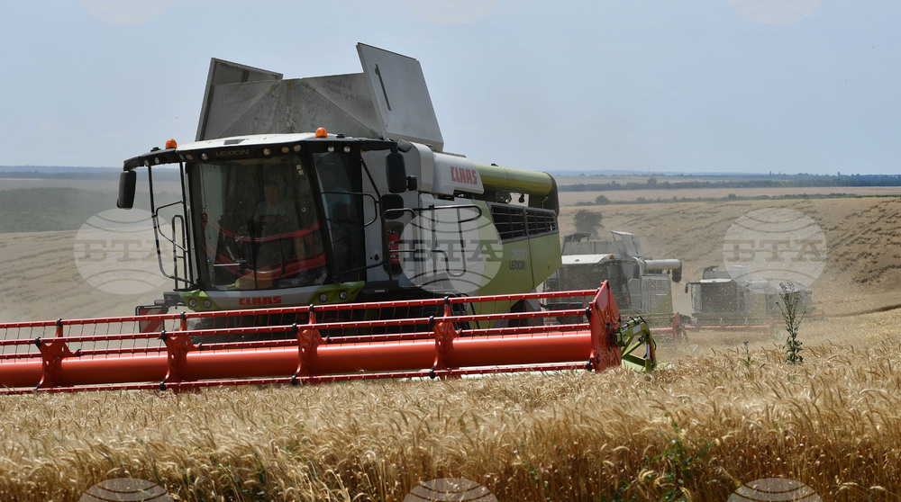 Село Подайва - жътва