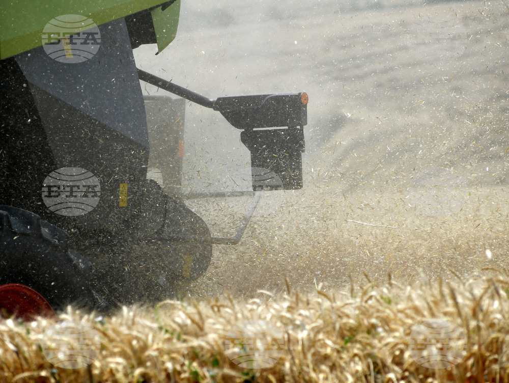 Село Подайва - жътва