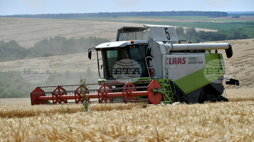 Село Подайва - жътва