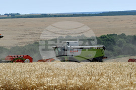 Село Подайва - жътва