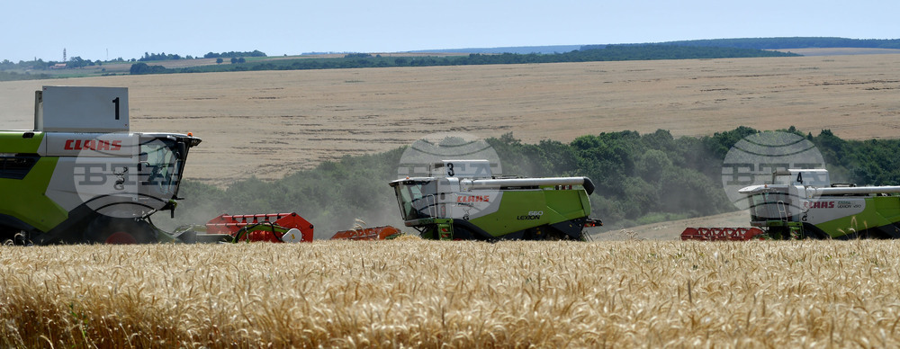 Село Подайва - жътва