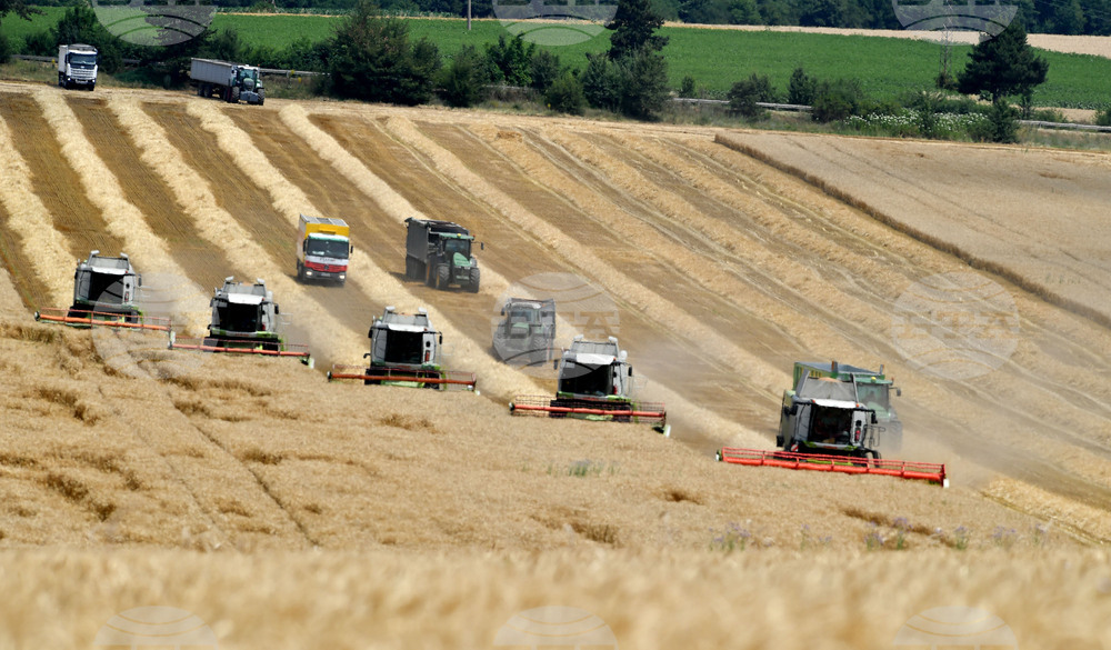 Село Подайва - жътва