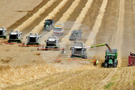 Село Подайва - жътва