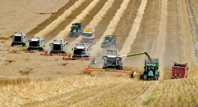 По-малко нови регистрирани колесни трактори, зърнокомбайни и телескопични товарачи, но повече челни товарачи отчита статистиката на МЗХ за 2024 г.