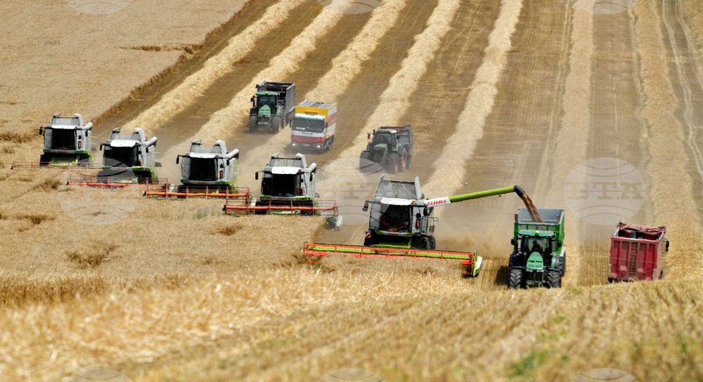 Село Подайва - жътва