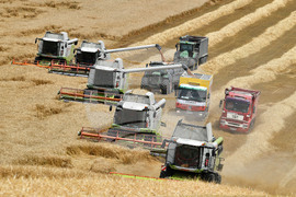 Село Подайва - жътва