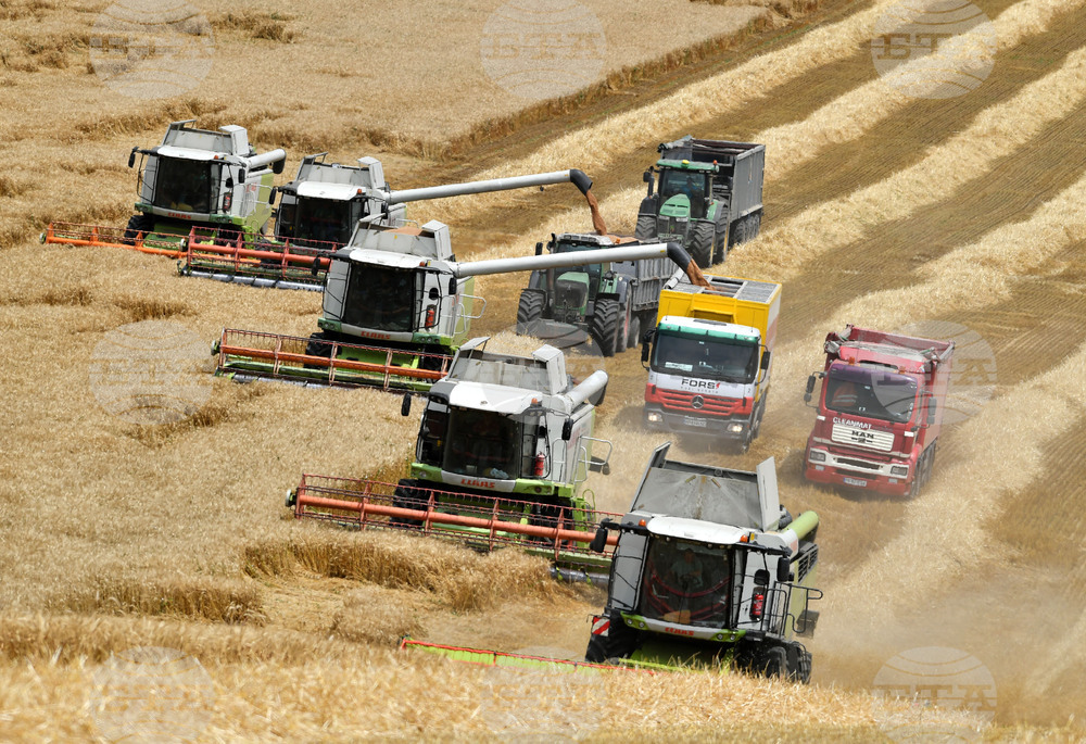 Село Подайва - жътва
