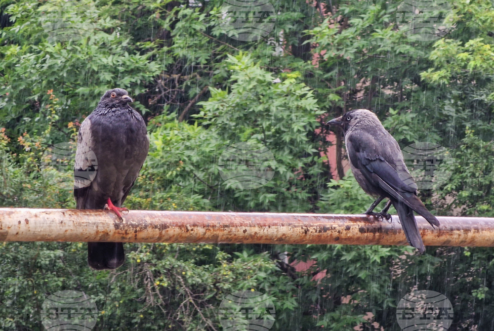 Дъждовно време