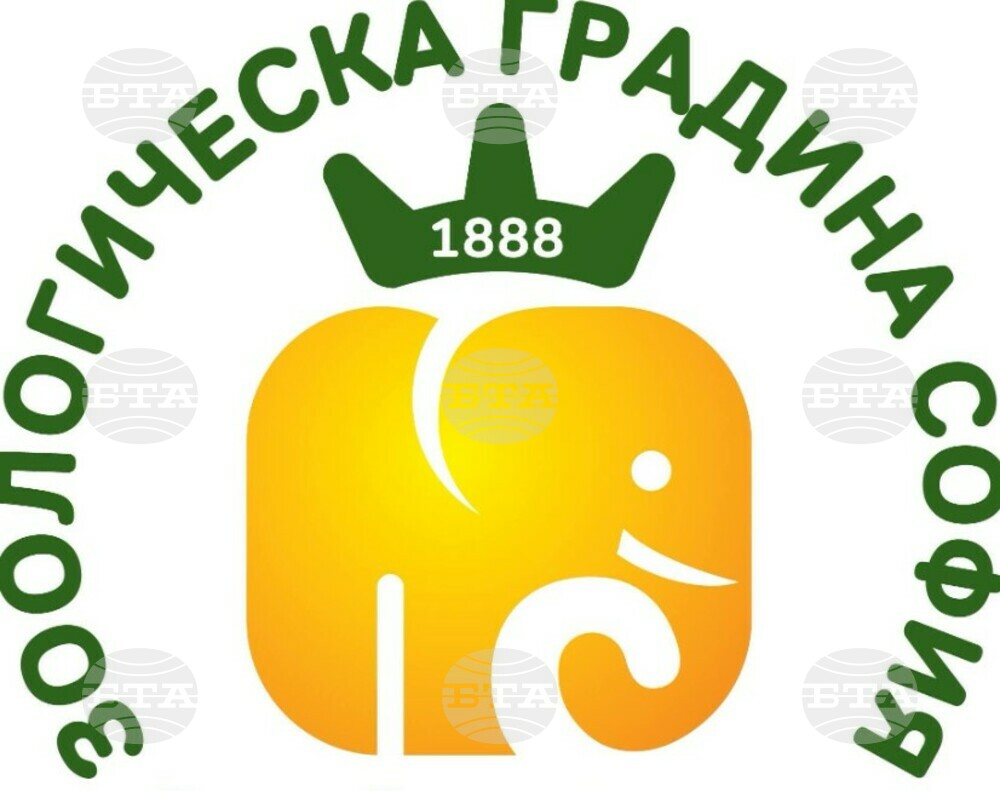 Софийската зоологическа градина разполага с най-добрите условия на Балканите за отглеждане на животни от видовете големи котки и примати, съобщи директорът Добромир Бориславов