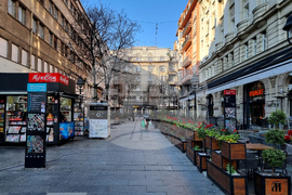 Белград - избори