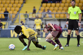 Пловдив - Футбол - Ботев (Пловдив) - Арис (Солун) - контролна среща