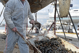 Варна - яхти - почистване