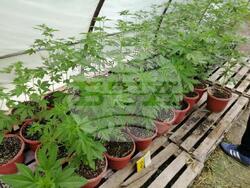 Снимка: Апелативна прокуратура – Варна