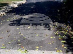 Снимка: Община Плевен